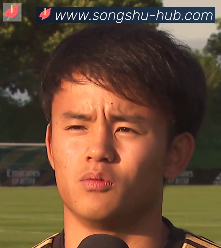 维尼修斯